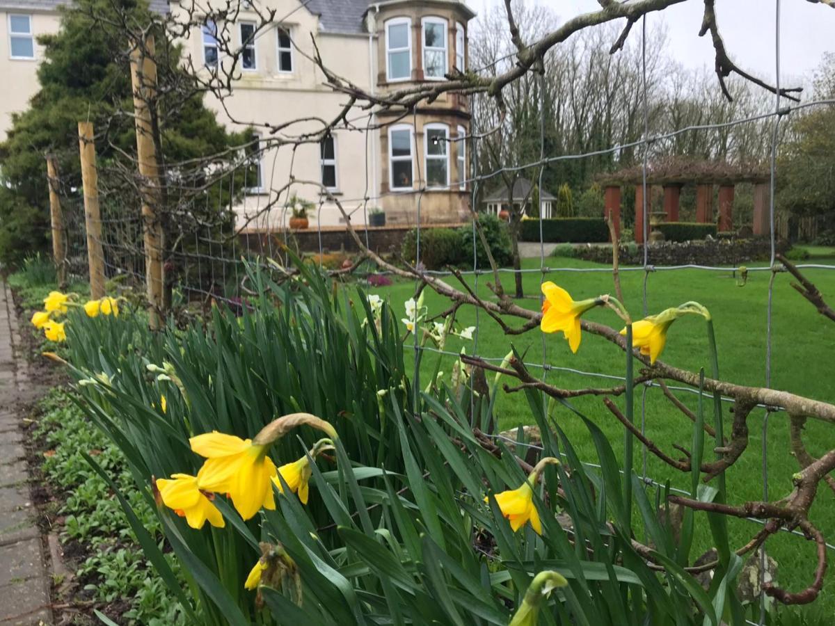 Holywell House B & B Evershot  Екстер'єр фото